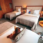 Hotel Rochestown Park Hotel&leisure Centre 4*